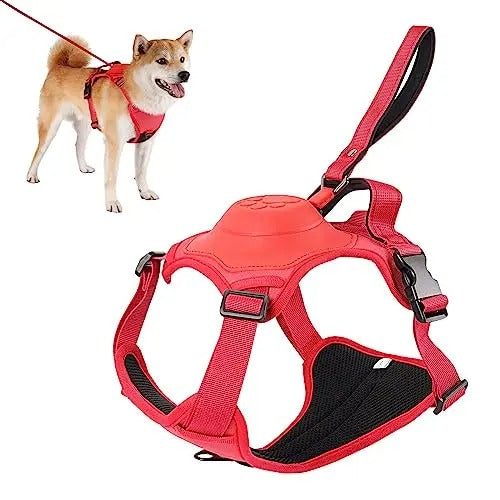 Dog Harness and Retractable Leash