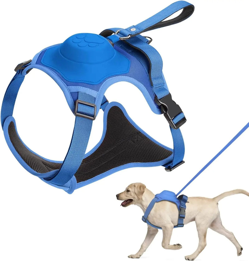 Dog Harness and Retractable Leash