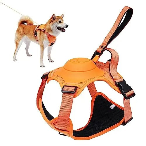 Dog Harness and Retractable Leash